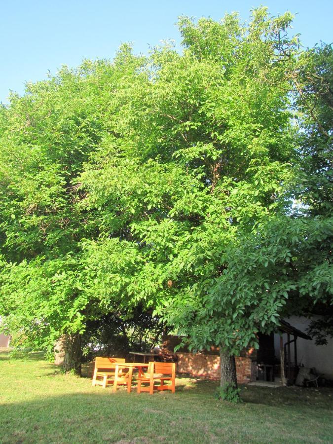 Pod Orehi Bed & Breakfast Postojna Exterior photo