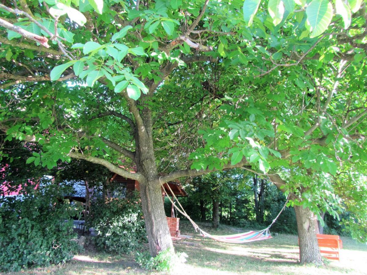Pod Orehi Bed & Breakfast Postojna Exterior photo